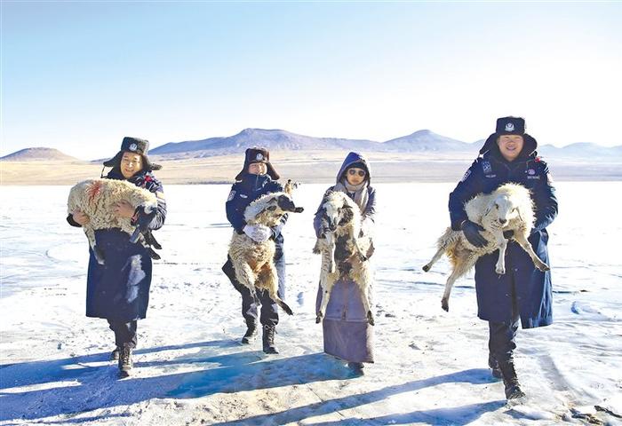 浪卡子县打隆镇推瓦村牧羊转场：蓝色冰湖上的生命律动