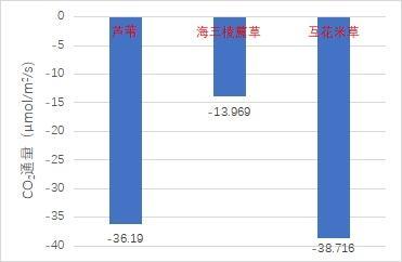 我为“双碳”献一策①丨水质变化“藻”知道、“海绵校园”如何建设……沪上学子为“生态环境与生物多样性”出谋划策