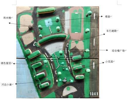 我为“双碳”献一策①丨水质变化“藻”知道、“海绵校园”如何建设……沪上学子为“生态环境与生物多样性”出谋划策