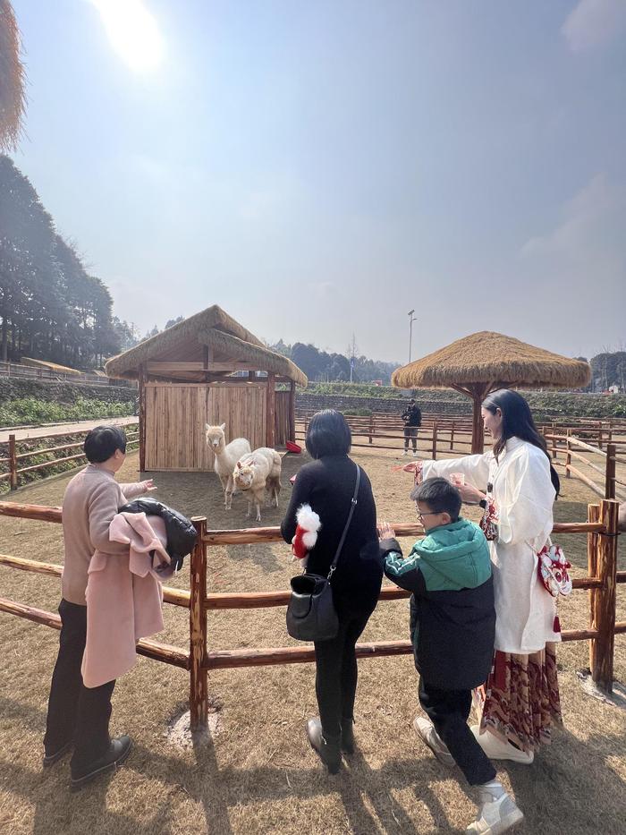 追寻记忆中的年味 在成都传媒集团桑园西岭宿集过乡野里的中国年