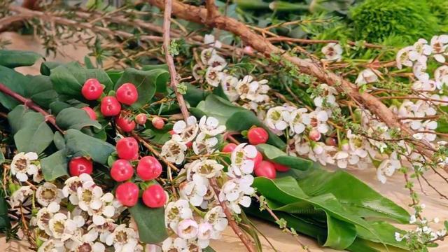 静安园艺云课堂第二期：春节就要“繁花似锦”