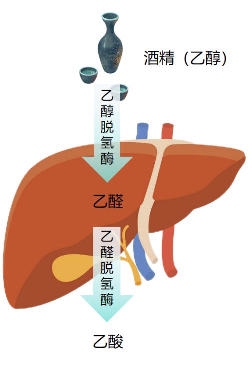 过年聚餐，你唱的“白脸”，还是“红脸”？