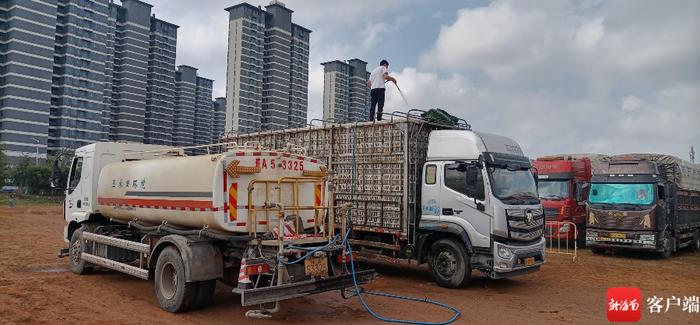 海口秀英区组织环卫水车给运活体鸡货车浇水降温