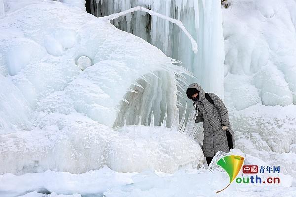 俄罗斯伊尔库茨克举行国际冰雕节 各动物造型冰雕栩栩如生