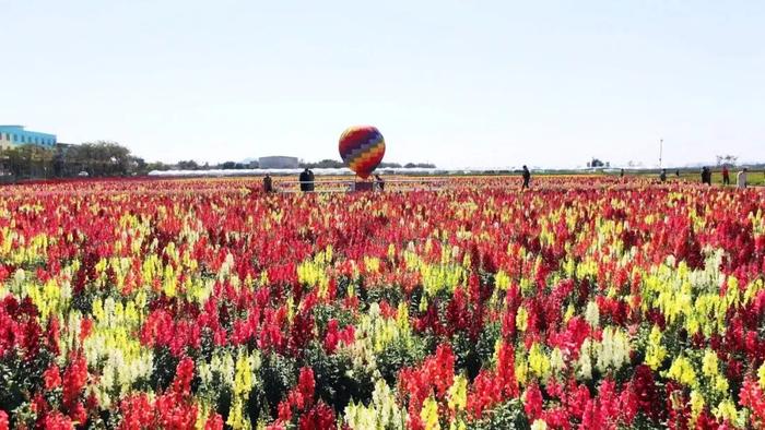 全国第3！全国前50！春节假期，潮州多次“火出圈”