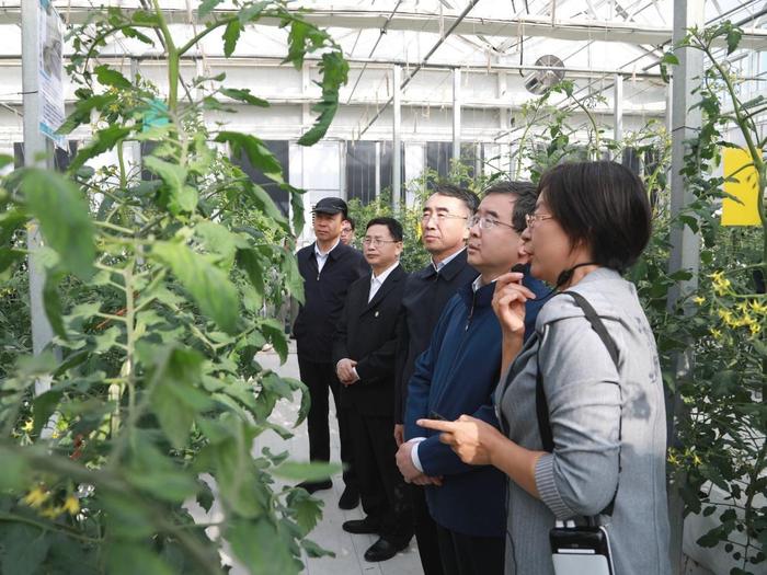 扎实推进都市农林学新兴交叉学科平台建设 为首都推进乡村振兴贡献“北农智慧”