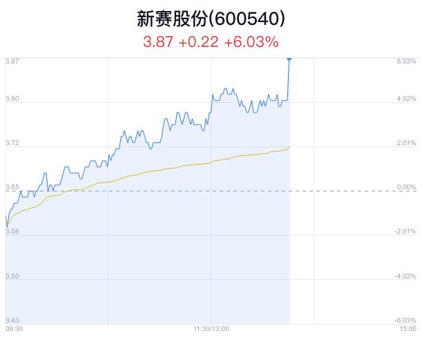 新赛股份盘中大涨6.30% 主力流入747万元