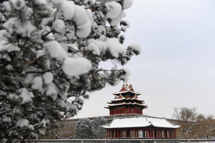 美！雪后的故宫怎么拍都好看