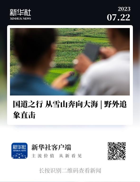 我在现场·照片背后的故事｜2023，我在云南逐影追光