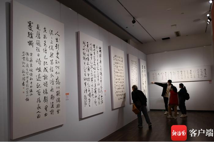 苏轼主题文物展开展以来观展人数超30万人次 春节假期观展者超八成来自外地