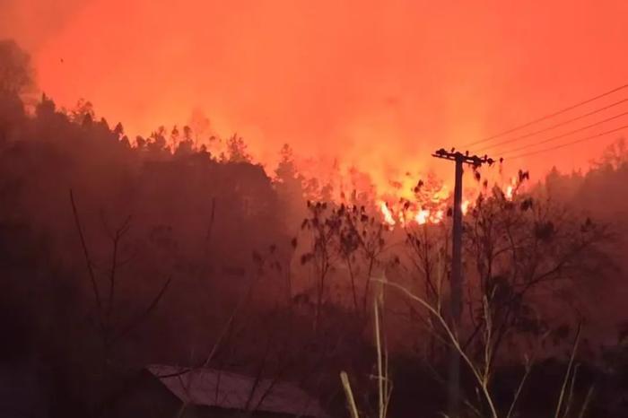 贵州山火五日：“无声”的万人救援