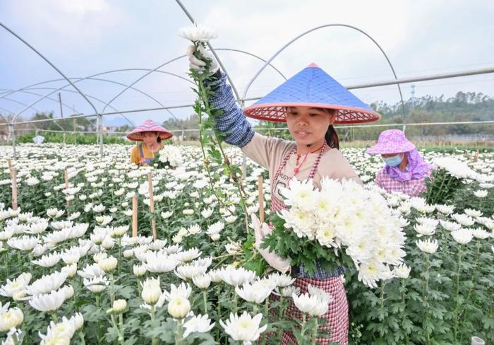 早安，阳江 | 我市公布第一批地下文物埋藏区名单！