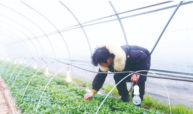 防范应对低温雨雪冰冻天气·我们在行动