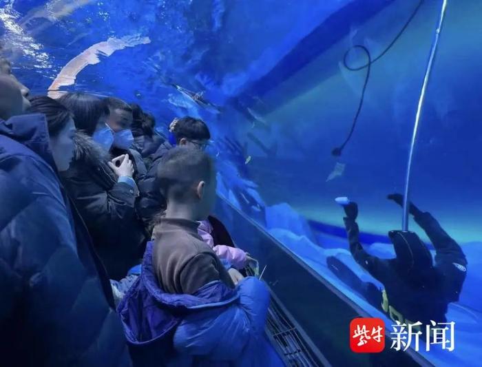 潜水员在馆内溺亡，郑州海昌海洋馆回应