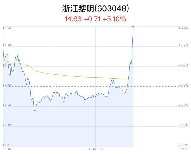 浙江黎明盘中大涨5.10% 主力流入841万元