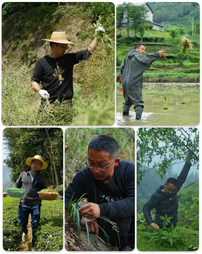 40岁前离开大厂，我做农民也能年入百万