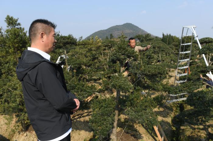 履职一年间｜刘建明：乡村振兴要靠一代代人来持续推动