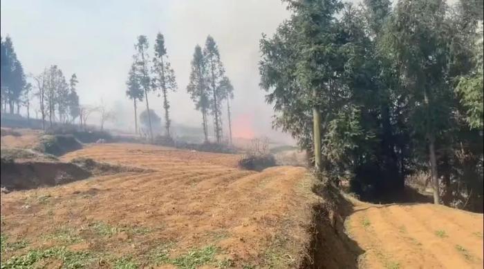 贵州山火五日：“无声”的万人救援