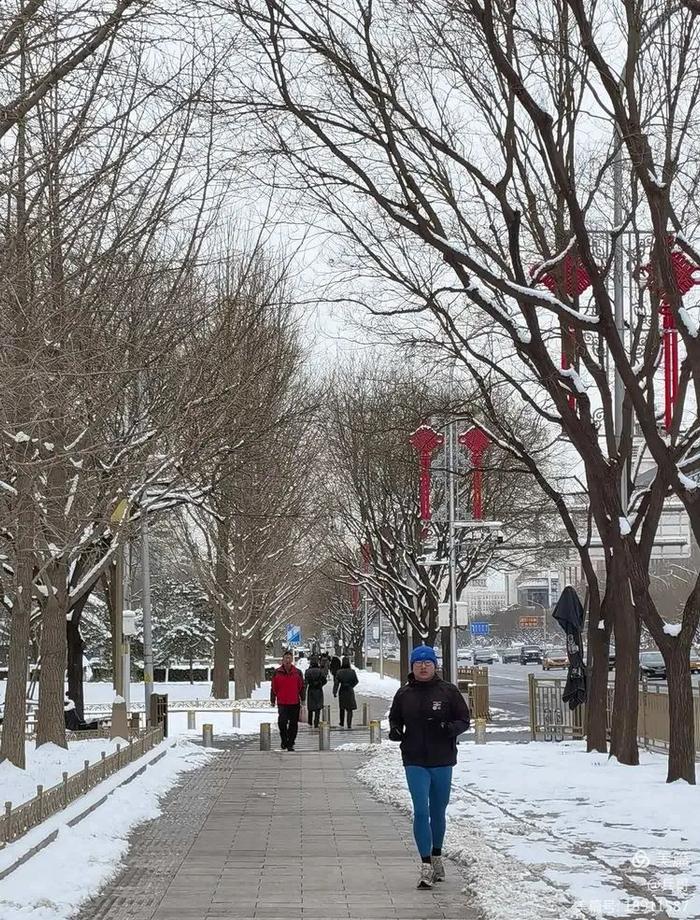 为记录北京这场初雪，我们同事的手机都拍没电了…… | 每日影像