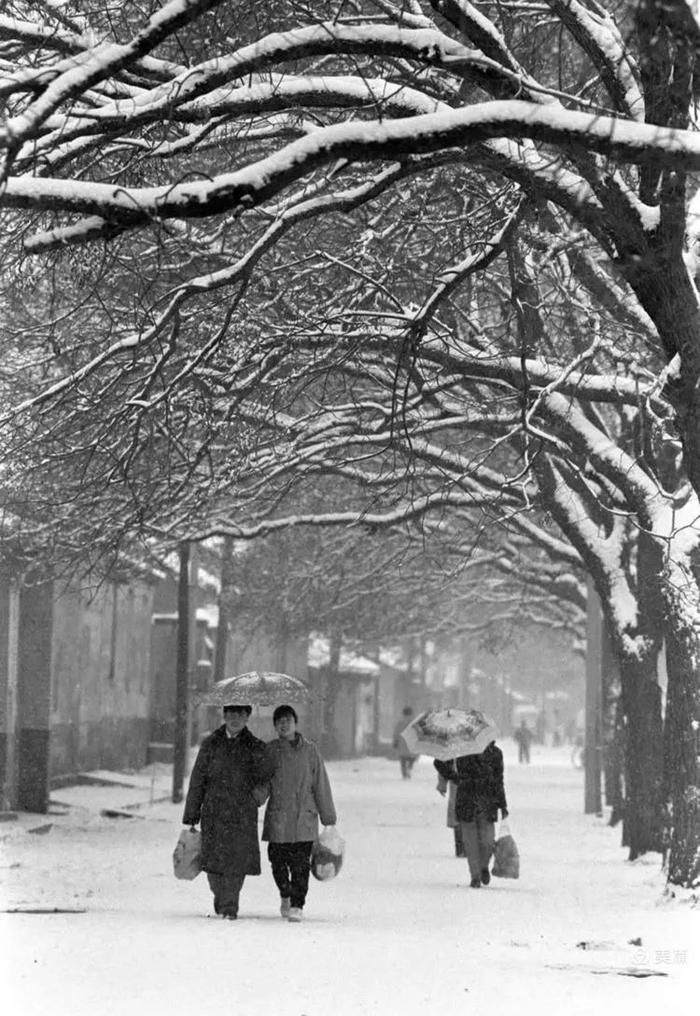 为记录北京这场初雪，我们同事的手机都拍没电了…… | 每日影像