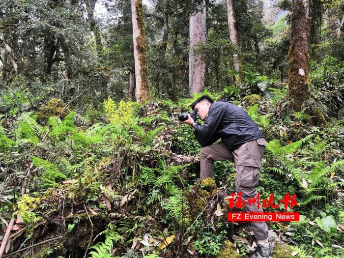 新物种！福建农大又上分了！