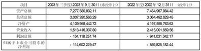 证券代码：002298    证券简称：中电兴发    编号：2024-002