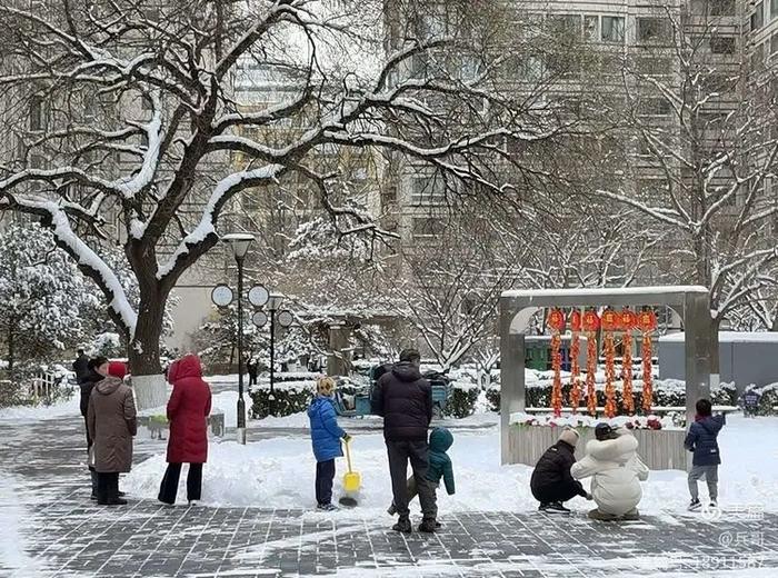 为记录北京这场初雪，我们同事的手机都拍没电了…… | 每日影像