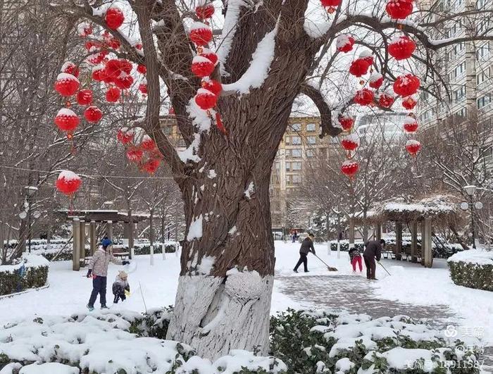 为记录北京这场初雪，我们同事的手机都拍没电了…… | 每日影像