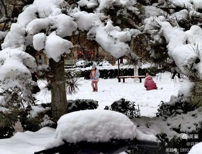 为记录北京这场初雪，我们同事的手机都拍没电了…… | 每日影像