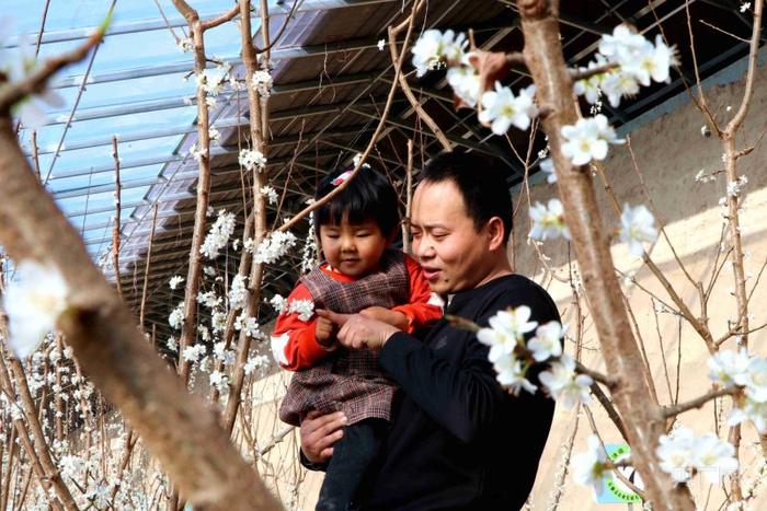 开年看一线｜甘肃民勤：“赏花经济”升温回暖 文旅市场春潮涌动