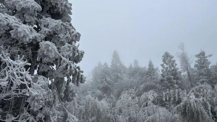 广西下雪了！近日气温还要降！多趟高铁已停运