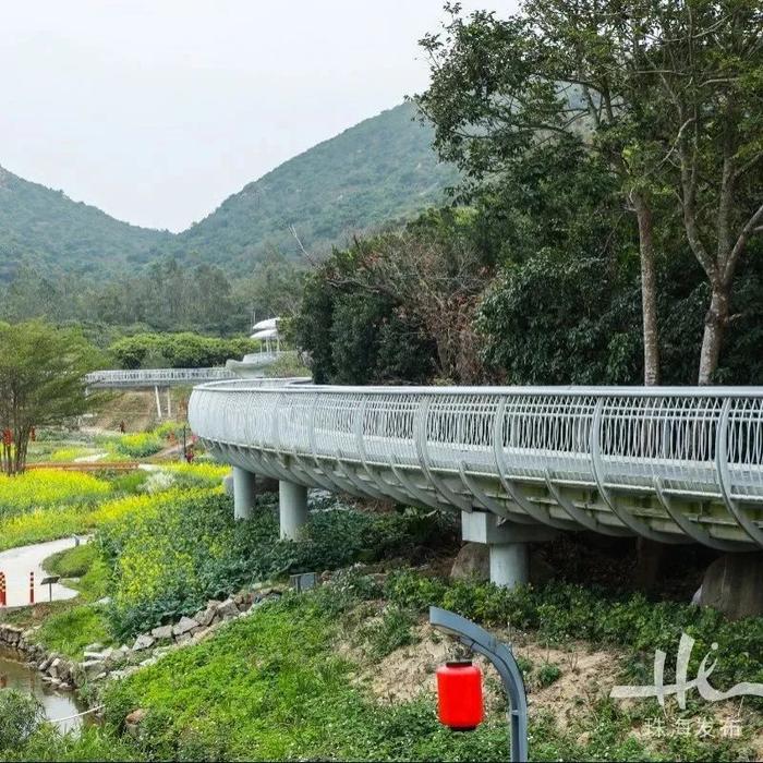 珠海这个400多年历史的古村落，花海环绕，坐拥沙滩海景……