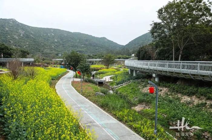 珠海这个400多年历史的古村落，花海环绕，坐拥沙滩海景……