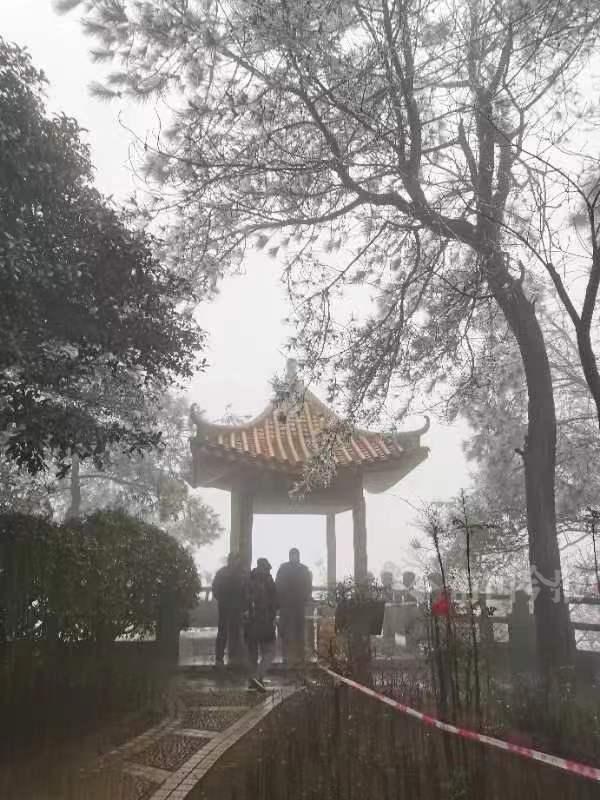 柳州市区最低温度跌破冰点 古亭山顶出现雾凇雨凇