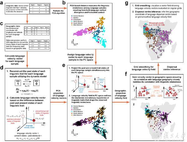 语言速度场估计法(Language velocity field estimation)的算法流程