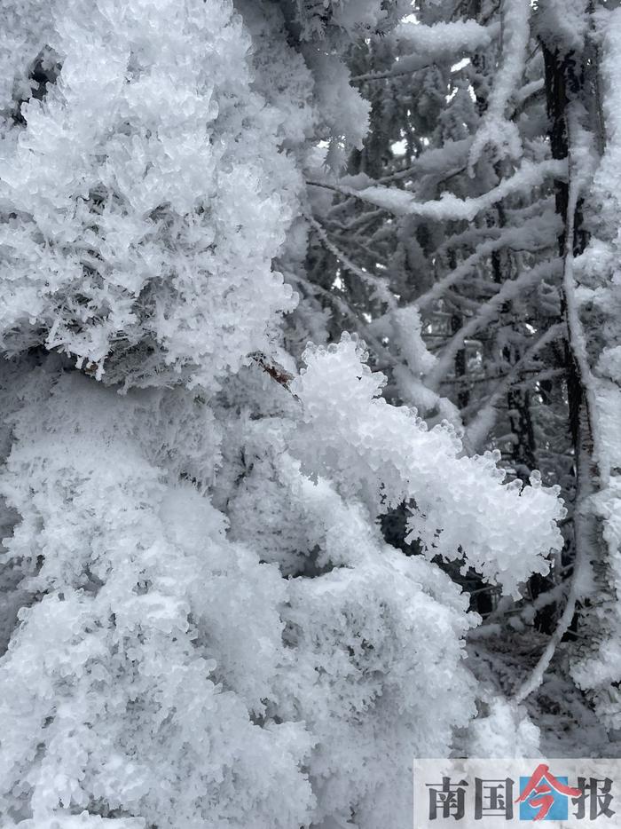 被冰雪封冻4天，柳州这个村庄26日恢复通行