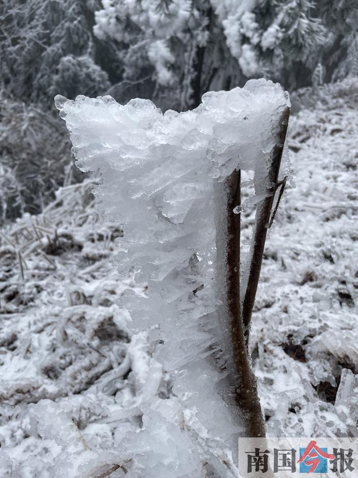 被冰雪封冻4天，柳州这个村庄26日恢复通行