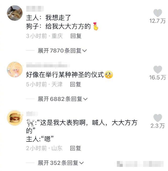 狗狗理发“翻车”，变脸能有多快？哈哈哈哈哈你怎么变河马了