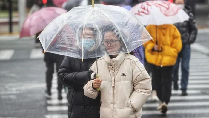 上海出太阳了！破纪录之后，本市寒潮余威犹在，本周最高温11℃，4个雨天“待命中”