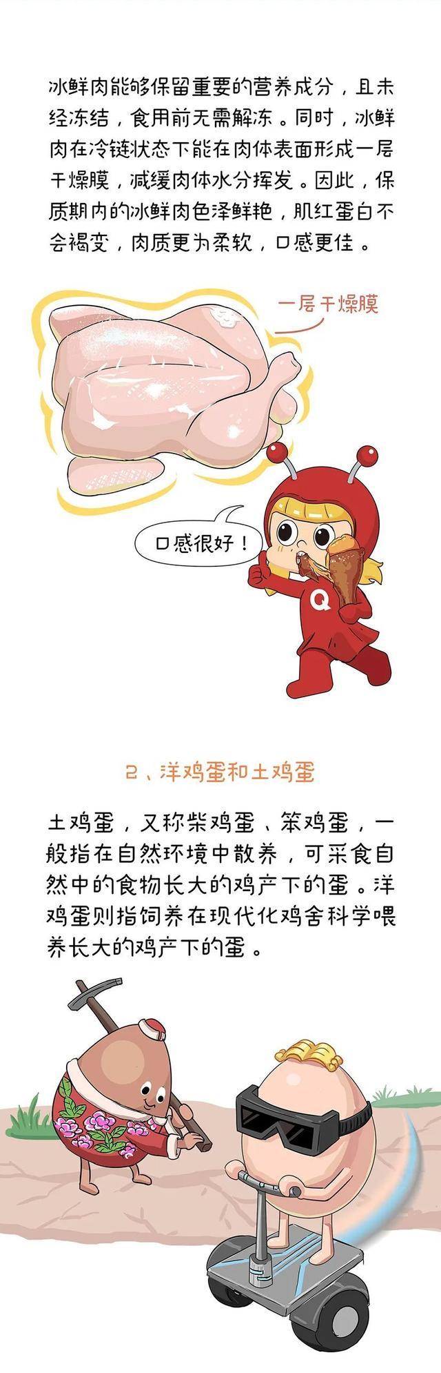 禽肉、禽蛋有啥营养？