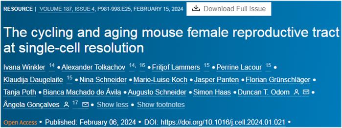 Cell｜新研究构建雌性小鼠生殖道细胞图谱，探索雌性生育能力带来的长期后果