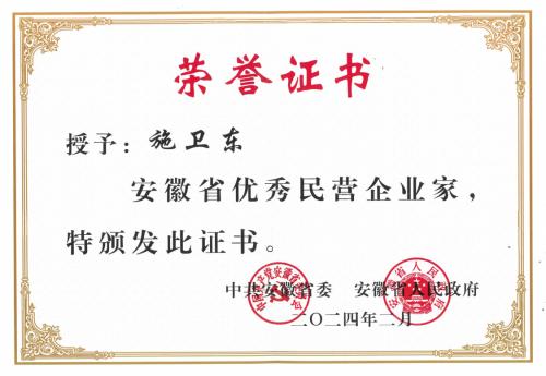 德力玻璃集团董事长施卫东 被省委、省政府授予“安徽省优秀民营企业家”称号