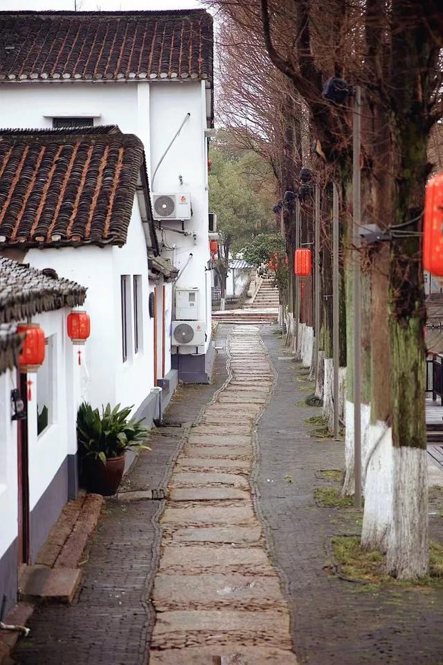 烟雨朦胧醉江南！这座魔都宝藏千年古镇太适合雨天打卡