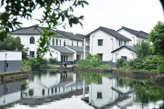 烟雨朦胧醉江南！这座魔都宝藏千年古镇太适合雨天打卡