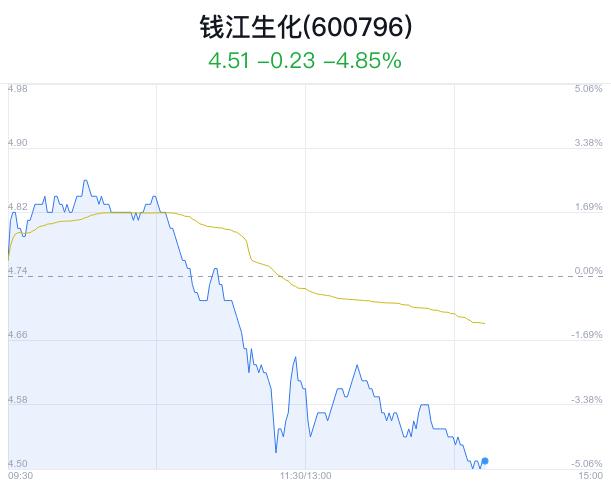 钱江生化盘中大跌5.06% 主力净流出431万元