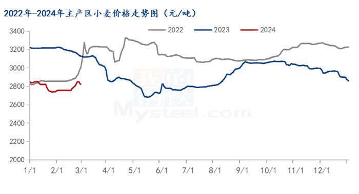 Mysteel解读：小麦能否带动面粉价格起飞