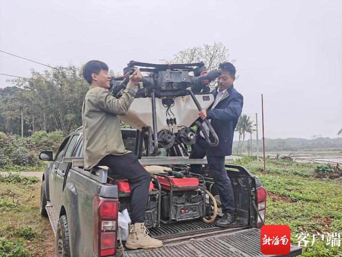 海口：科技助农 无人机不到一个小时即可播种100亩地