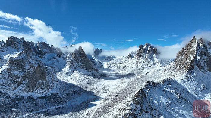 C视频丨冰雪地里的生灵！野生雪豹现身莲宝叶则景区