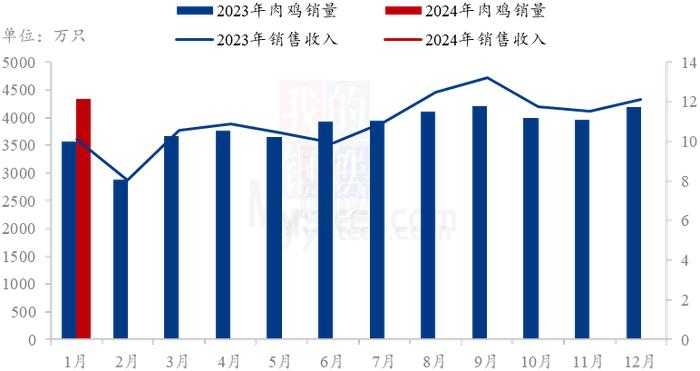 Mysteel解读：Mysteel解读：温氏、立华、湘佳1月份数据分析