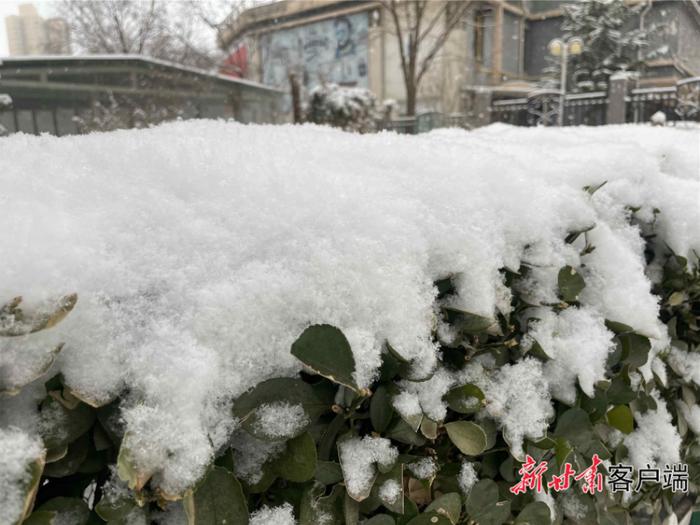 过去24小时，甘肃75个县区出现降雪天气